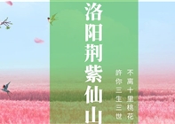 春林初盛，桃花十里，我们在洛阳
