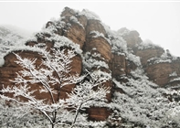 龙潭初雪！且以深情共白头